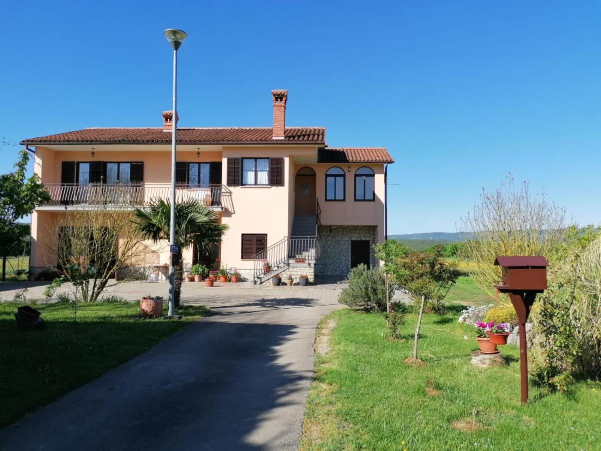 Apartman Martina Apartment Kršan Exterior foto