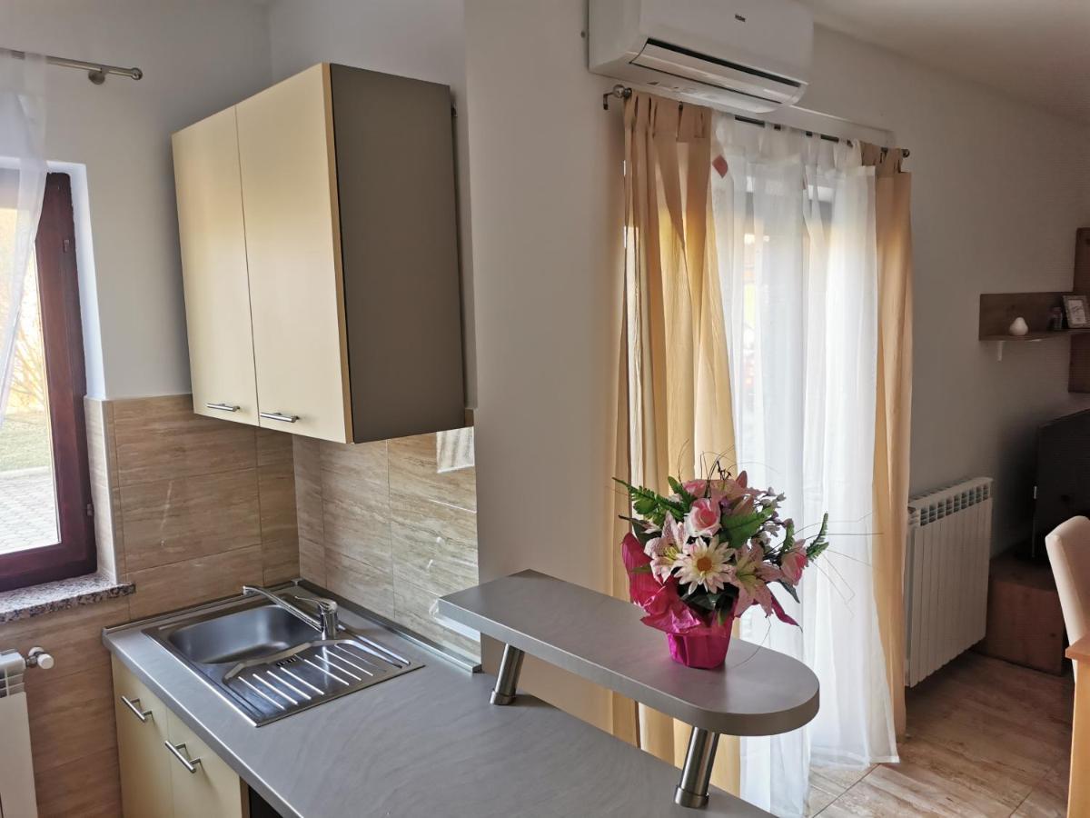 Apartman Martina Apartment Kršan Exterior foto